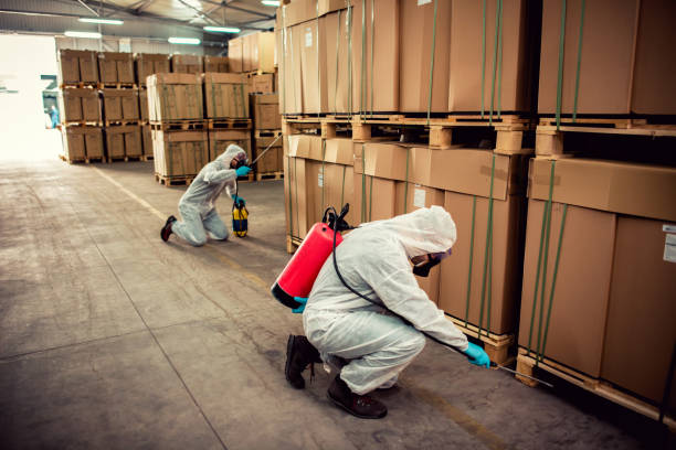 Best Rat Extermination Near Me  in Jacksonwald, PA