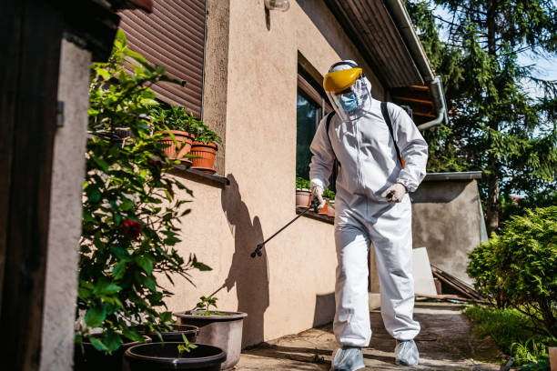 Best Best Pest Control Companies  in Jacksonwald, PA