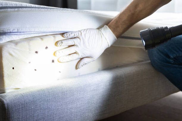 Best Local Pest Control Services  in Jacksonwald, PA