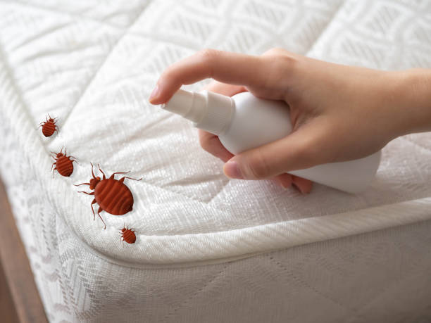 Best Commercial Pest Control Services  in Jacksonwald, PA