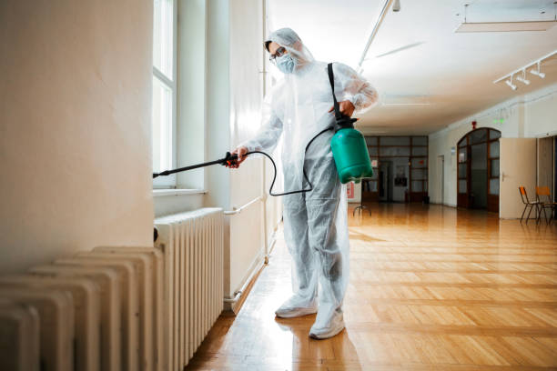 Best Flea Control Services  in Jacksonwald, PA