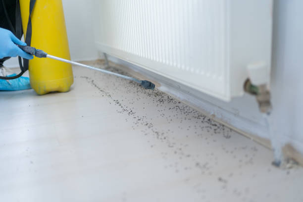 Trusted Jacksonwald, PA Pest Control Experts
