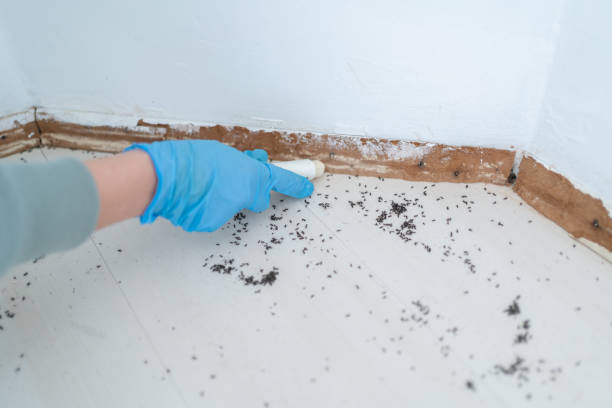 Best Pest Inspection Near Me  in Jacksonwald, PA