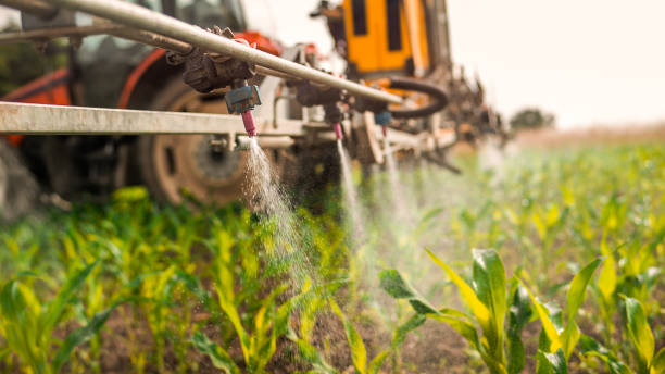 Best Pest Control Treatment  in Jacksonwald, PA